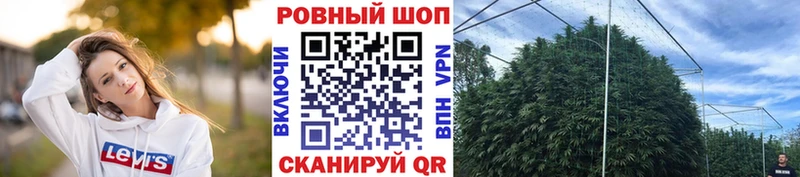 ГАШИШ Мышкин