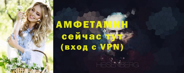 прущие грибы Наволоки