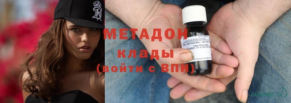прущие грибы Наволоки