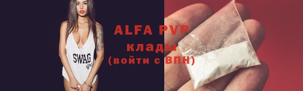 эйфоретик Михайловск