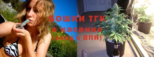 СК Михайлов