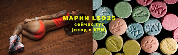 СК Михайлов